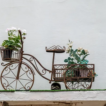 بيت للعطل Turisme Rural Horta Del Pi