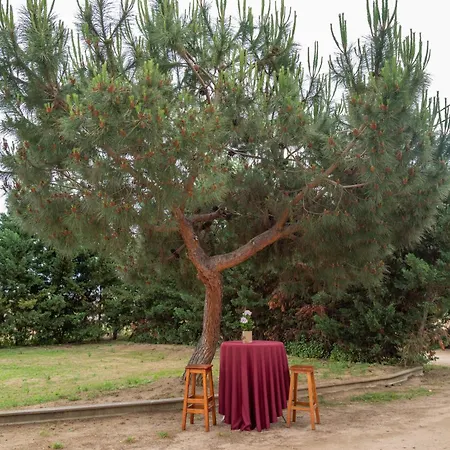 Turisme Rural Horta Del Pi *